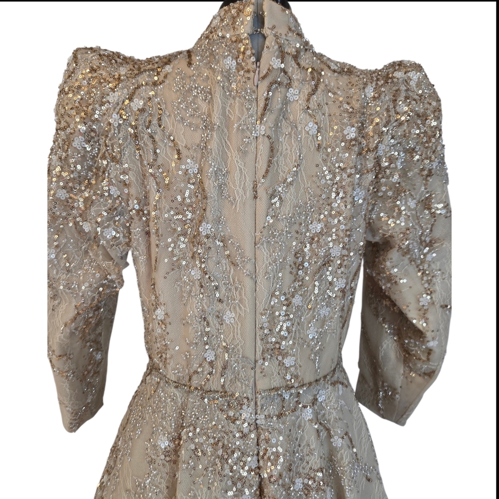 Tony Ward Couture Champagne Beaded Gown Formal Evening Dress Size L MSRP $10,000 - Picture 11 of 16